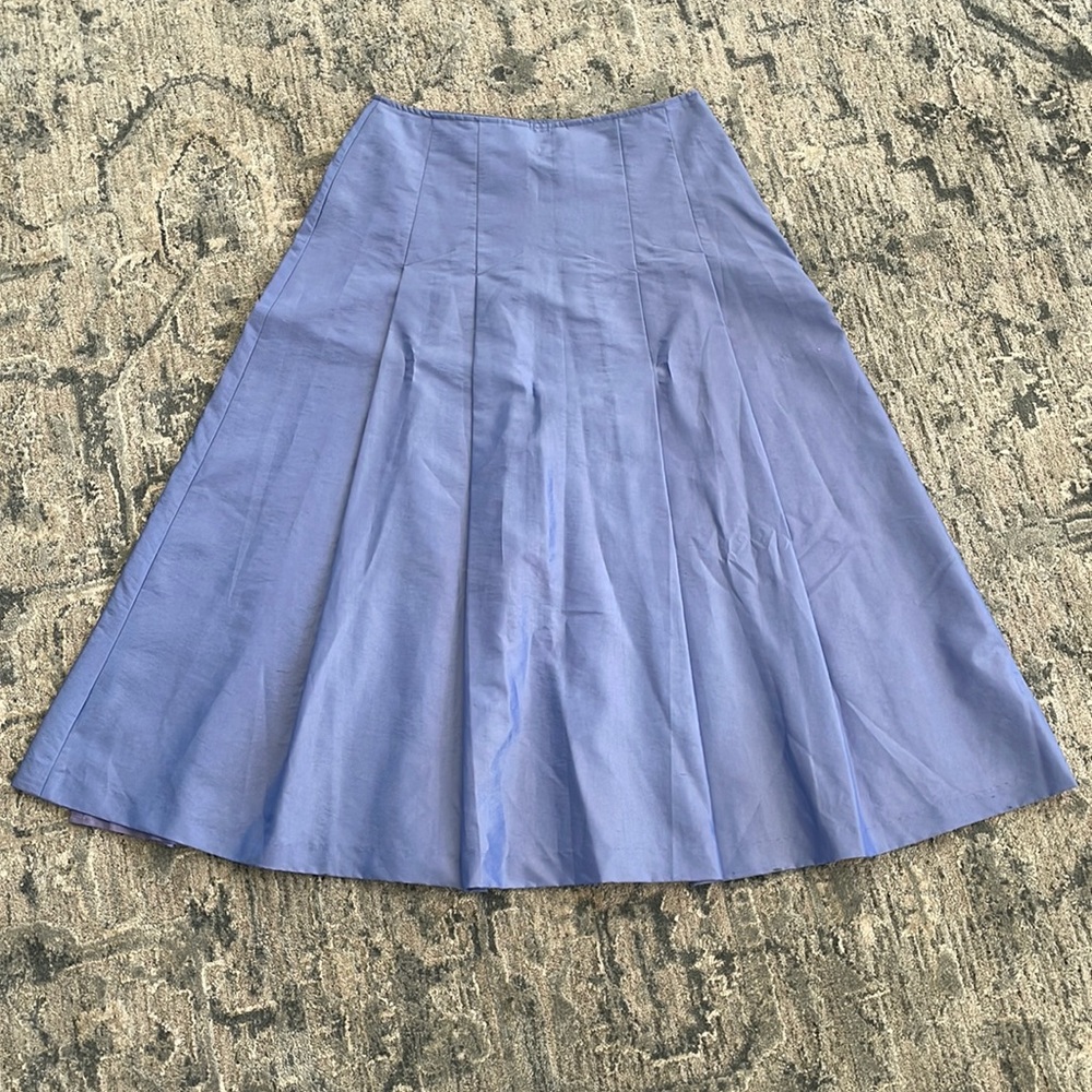 Express Dress Skirt
